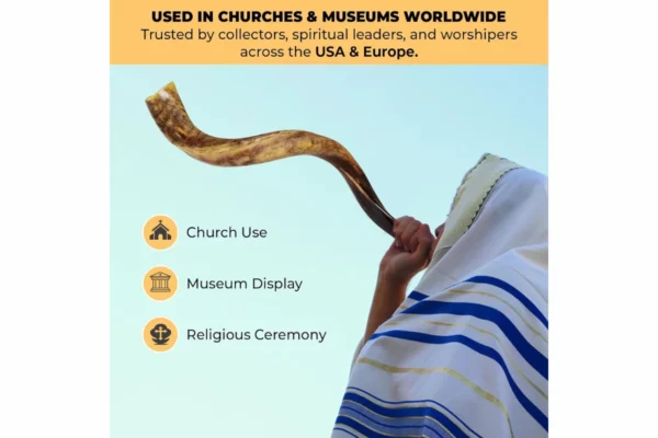 YOMTOV-SHALOM Handcrafted Kosher Kudu Shofar 2
