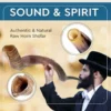 YOMTOV-SHALOM Handcrafted Kosher Kudu Shofar 6