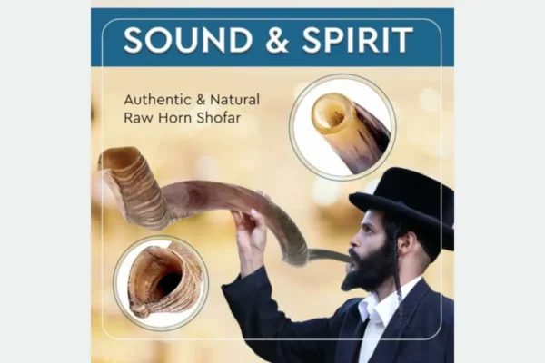 YOMTOV-SHALOM Handcrafted Kosher Kudu Shofar 6