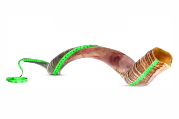YOMTOV-SHALOM Handcrafted Kosher Kudu Shofar