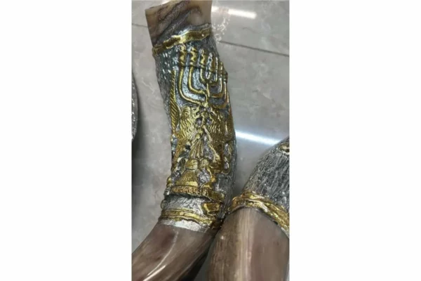Extra Long Silver Decorated KOsher Shofar 4
