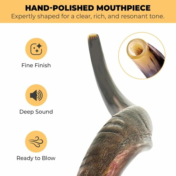 Hand Polished mouth piece Shofar