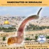 Premium Kosher Kudu Shofar 1