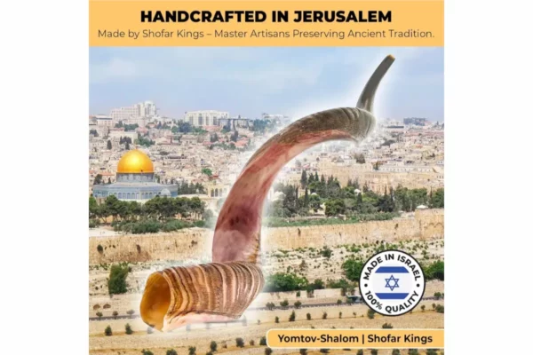 Premium Kosher Kudu Shofar 1