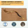 Premium Kosher Kudu Shofar 2