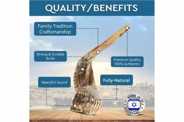 Ram Shofar 2