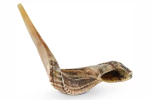 Ram Shofar