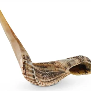 Ram Shofar