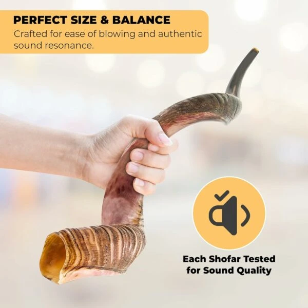 Quality shofar in a hand