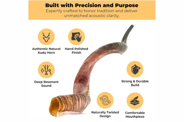 YOMTOV-SHALOM Kosher Kudu Shofar Pair 1