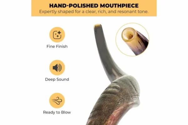 YOMTOV-SHALOM Kosher Kudu Shofar Pair 3