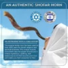 YOMTOV-SHALOM Kosher Kudu Shofar Pair 5