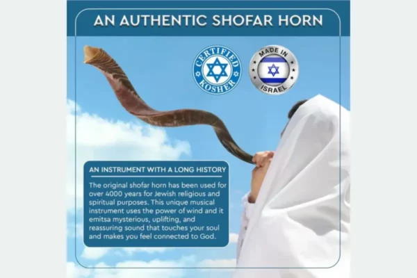 YOMTOV-SHALOM Kosher Kudu Shofar Pair 5