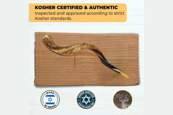 YOMTOV-SHALOM Kosher Kudu Shofar Pair 6